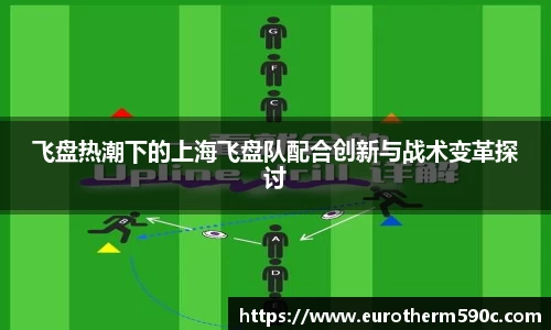飞盘热潮下的上海飞盘队配合创新与战术变革探讨
