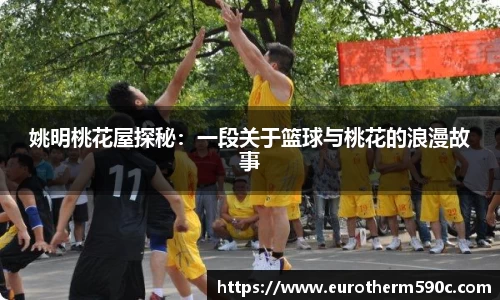 77体育直播官网