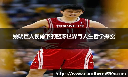 77体育直播官网
