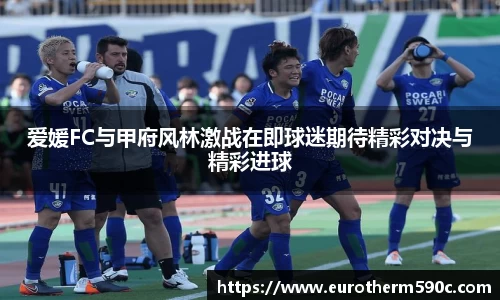 爱媛FC与甲府风林激战在即球迷期待精彩对决与精彩进球